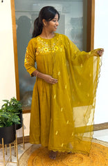 Mustard morning 549
