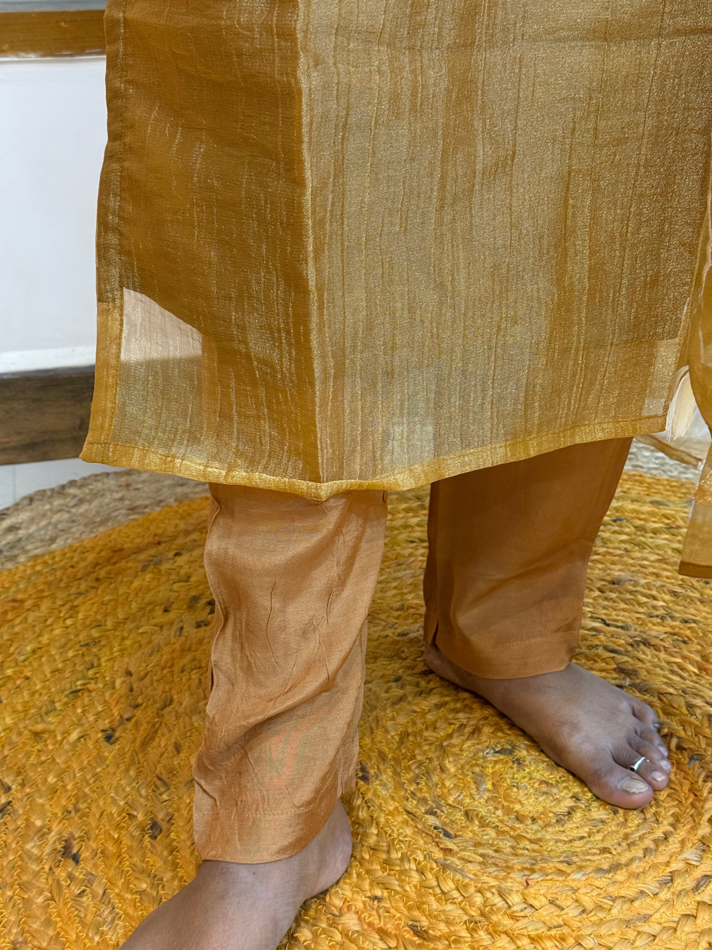 Dhanvantri 1050